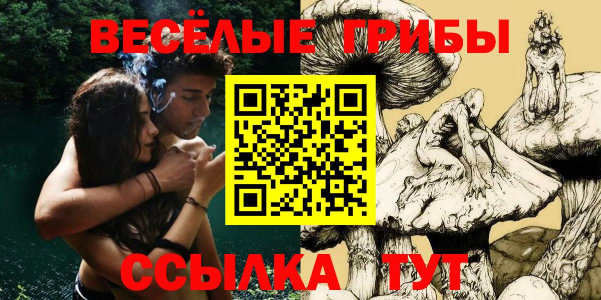 Псилоцибиновые грибы Magic Shrooms Грязи
